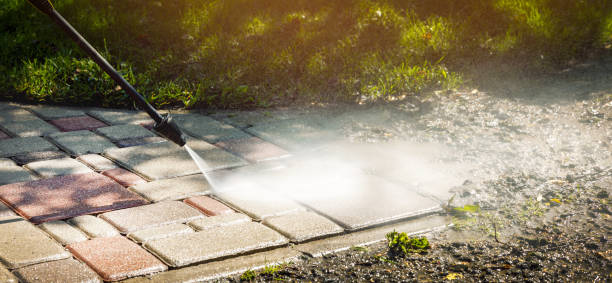 Best Spring Cleaning  in Forest Meadows, CA