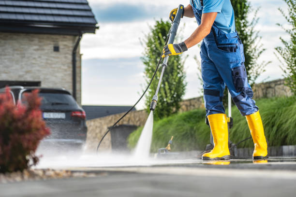 Best Roof Washing  in Forest Meadows, CA